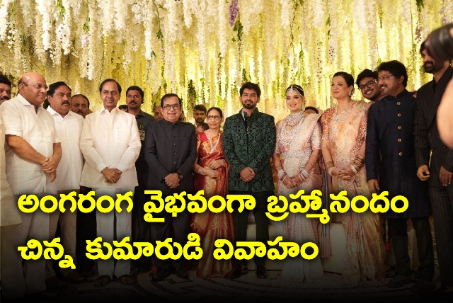 Actor Brahmanandam younger son marriage in Hyderabad