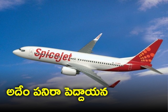 Woman exposes SpiceJet passenger who took indecent photos of air hostess