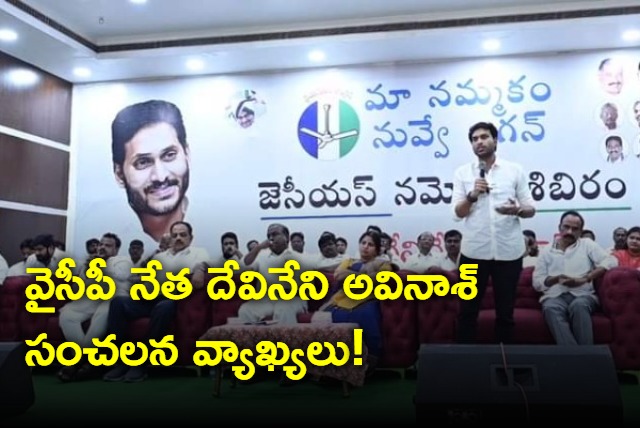 YSRCP leader Devineni Avinash hot comments