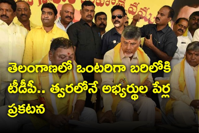 TDP will fight solo in Telangana assembly elections