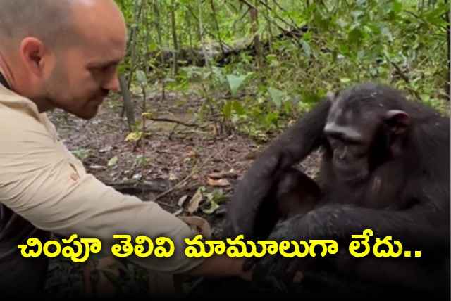 Anand Mahindra Shares Clip Of Chimpanzee Washing A Photographers Hands