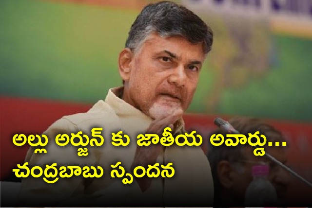 Chandrababu opines on Allu Arjun selected for national best actor award 