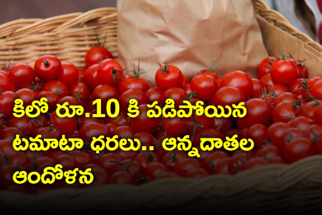 Tomato prices are easing in Andhra Pradesh