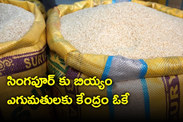 India Decides To Allow Rice Export To Singapore In View Of Special Ties