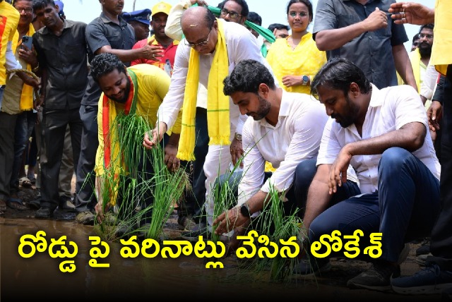 Nara Lokesh plants paddy on road