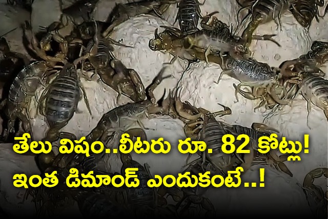 Scorpion farming to harvest poison to be used in cometics and medicines