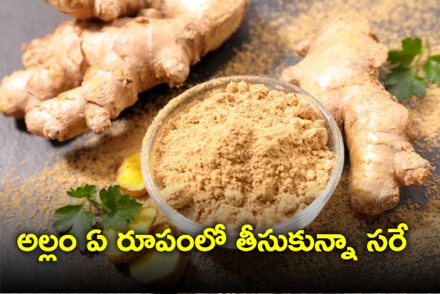 Dry ginger vs fresh ginger 4 reasons why dry ginger is better than fresh ginger