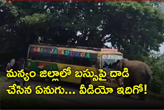 Elephant attacks on a bus in Manyam district