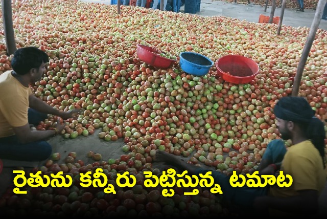 Tomato prices expected to fall after higher supplies in Telugu states