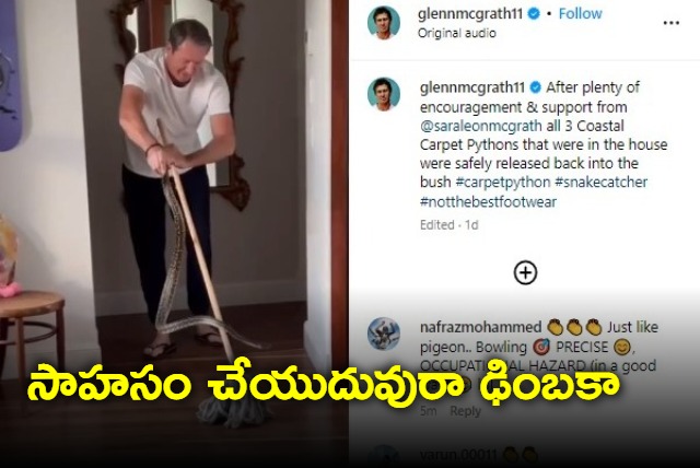 Glenn McGrath catches python in home shares video of daring rescue