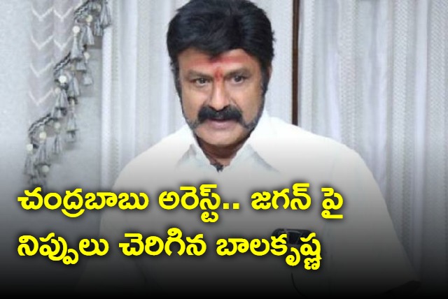 Balakrishna fires on Jagan after Chandrababu arrest