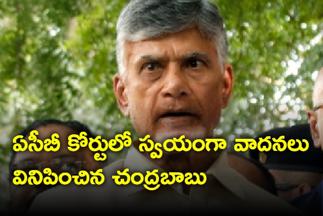 TDP Chief Chandrababu himself arguing in skill development case  