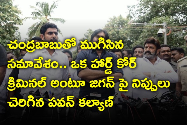 Pawan Kalyan fires on Jagan after meeting with Chandrababu