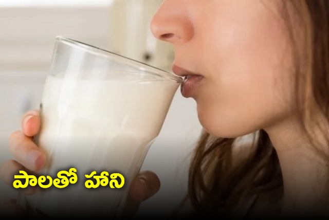 Drinking milk may be harming your health secretly Full report