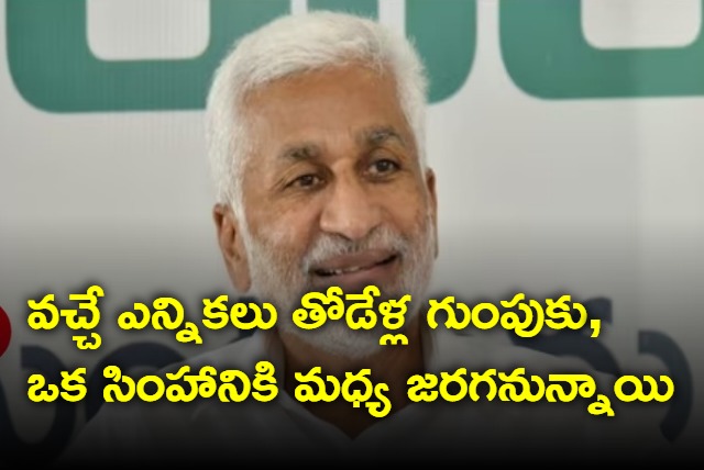 Elections are between pack of wolves and a lion says Vijayasai Reddy