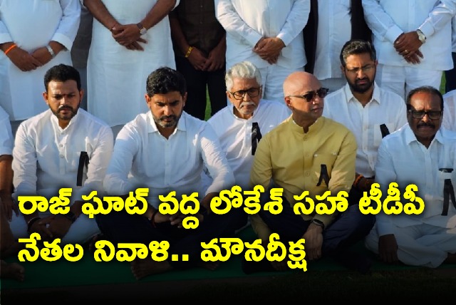 TDP leaders deeksha at Raj Ghat