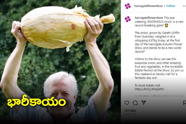 UK gardener grows massive 9 kg onion wows people