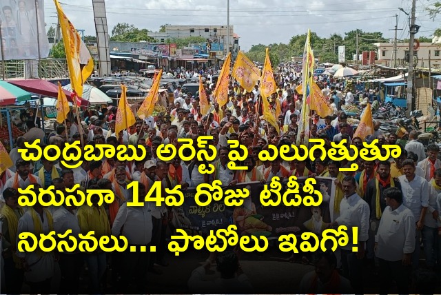 TDP protests continue for consecutive 14th day