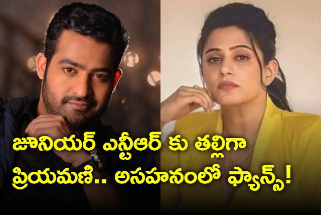 Priyamani playing mother role to Junior NTR