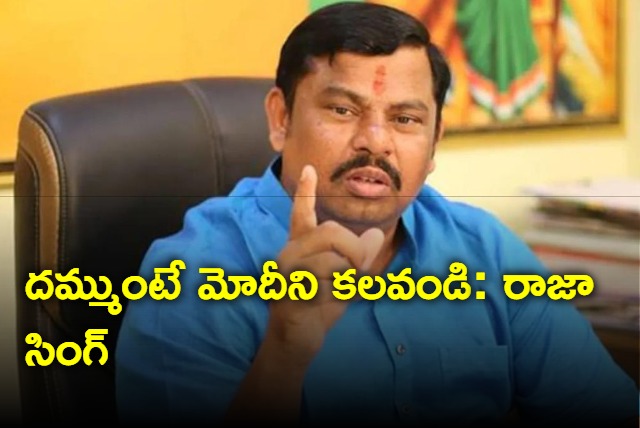 MLA Raja Singh asks KCR and KTR to meet PM Modi