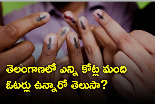 Total voters in Telangana is more than 3 Cr