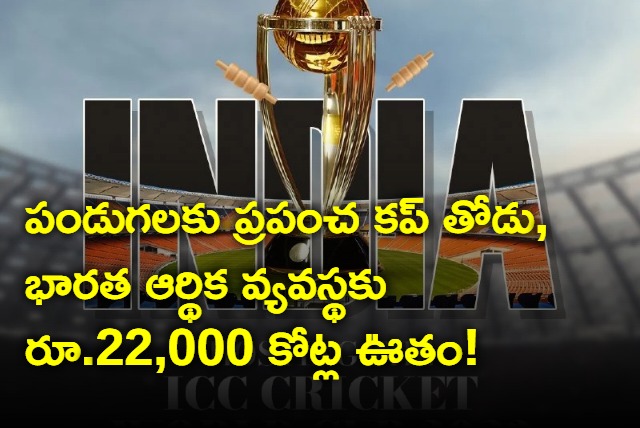 Cricket World Cup May Add 22000 Crore To Indian Economy