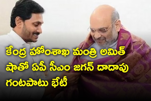 YS Jagan meets union minister amit shah