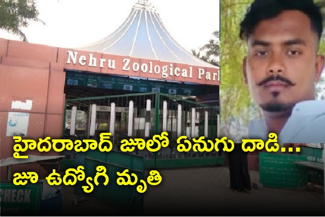 Hyderabad Zoo employee died in elephant attack