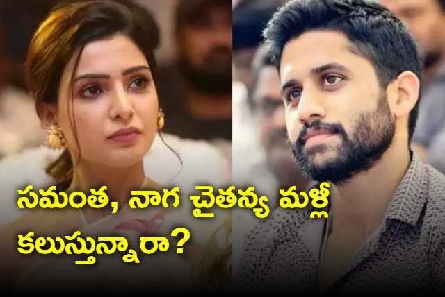 Are Naga Chaitanya and Samantha patched up