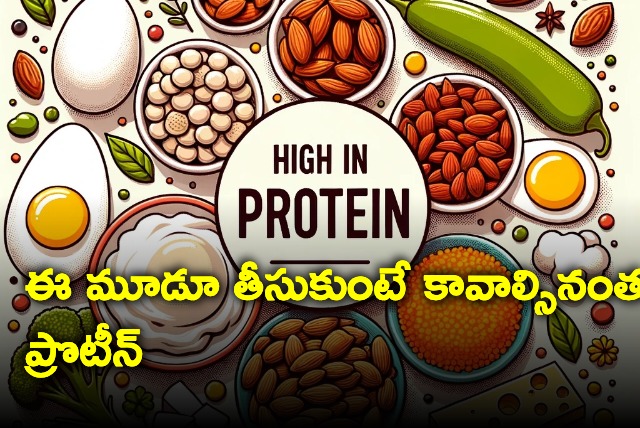 foods that are high in protein