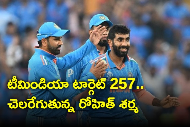 Team India target 257 runs