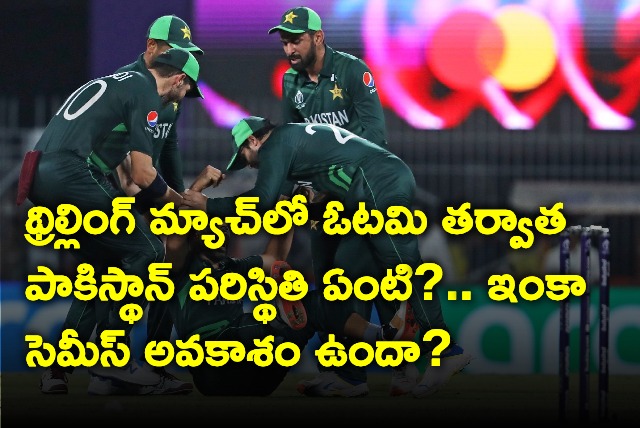 What Pakistan Loss means Against South Africa in world cup