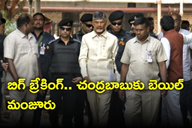 chandrababu gets bail