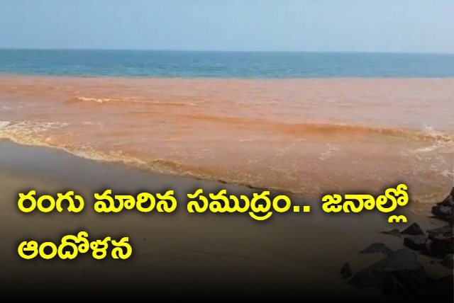 Sea water turn red near puducherry beach causing panic among locals