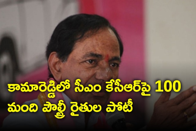 100 poultry farmers contest against CM KCR in Kamareddy