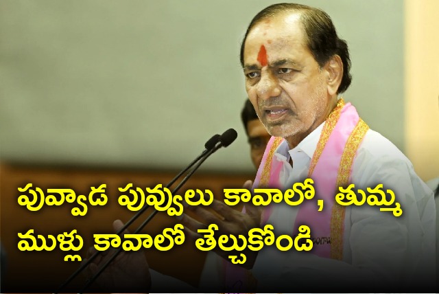 kCR speech in Khammam