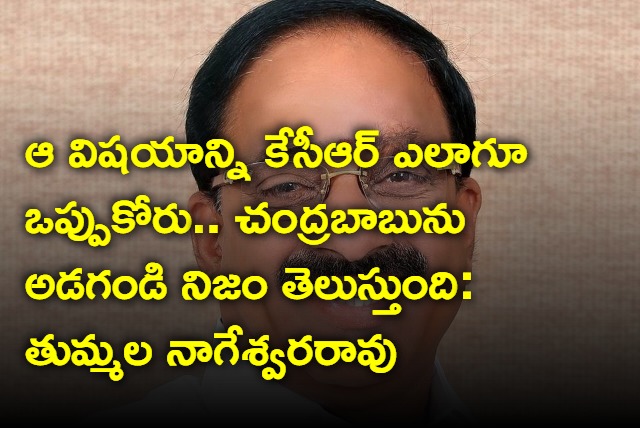 Ask Chandrababu about KCR says Thummala