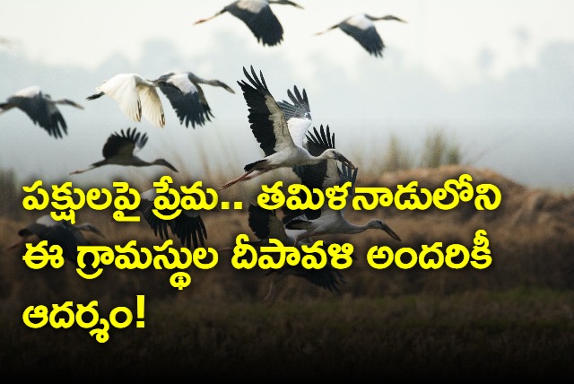 villages around bird sanctuary celebrate Diwali without firecrackers in Tamil Nadu