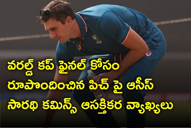 Aussies captain Pat Cummins opines on world cup final pitch