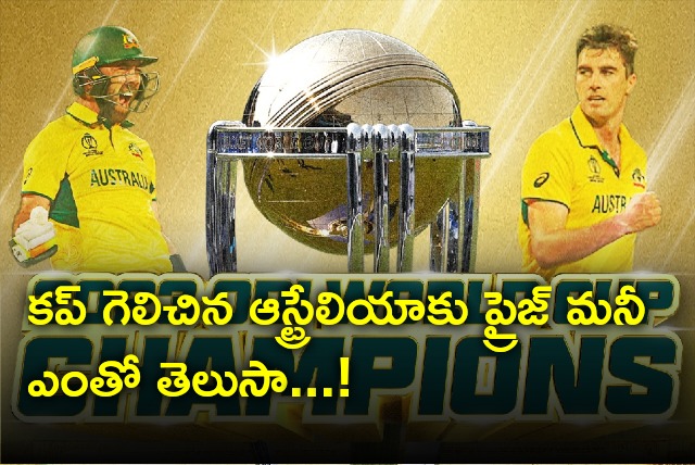 World Cup winner Australia gets 40 lakh dollars as prize money