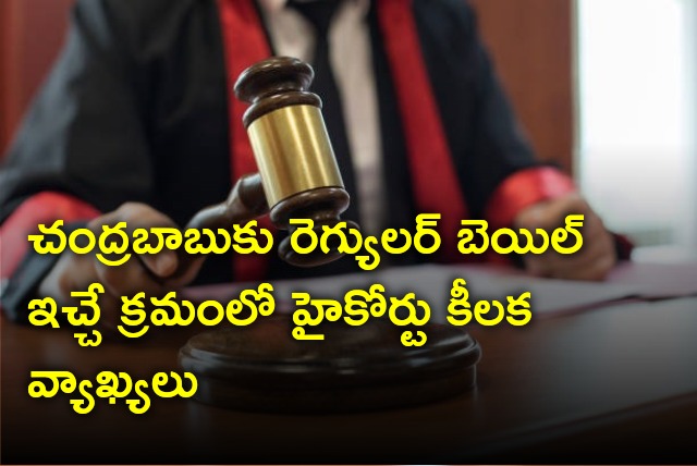 AP High Court observations in Chandrababu bail plea hearing