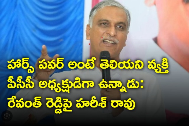 Harish Rao comments on Revanth Reddy over his horse power comments