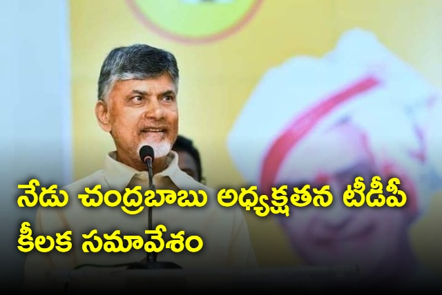 Chandrababu to hold TDP Parliamentary party meeting today