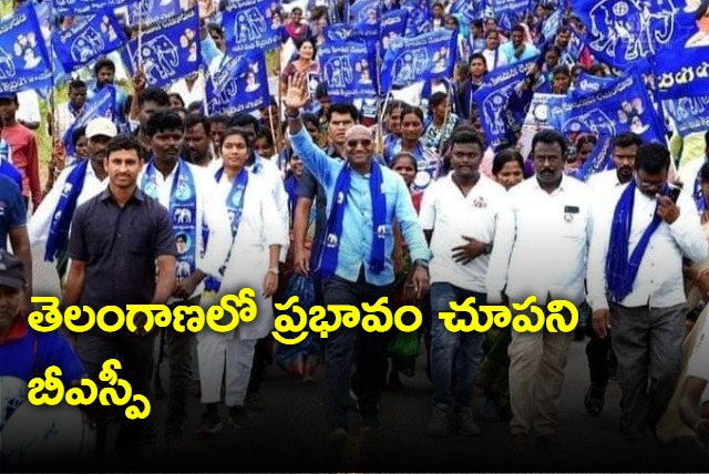 BSP Failure In Telangana Assembly Elections