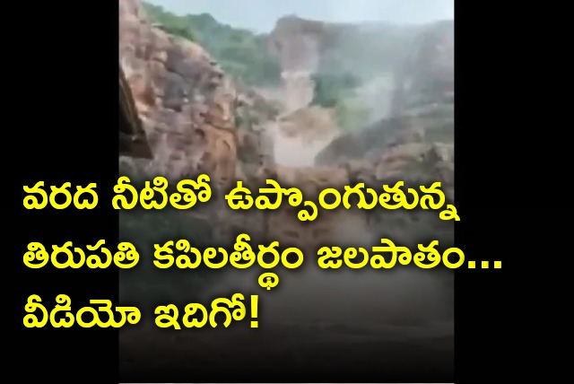 Kapila Theertham waterfall in full flow 