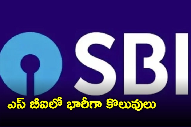 SBI Mega Job Notificaion