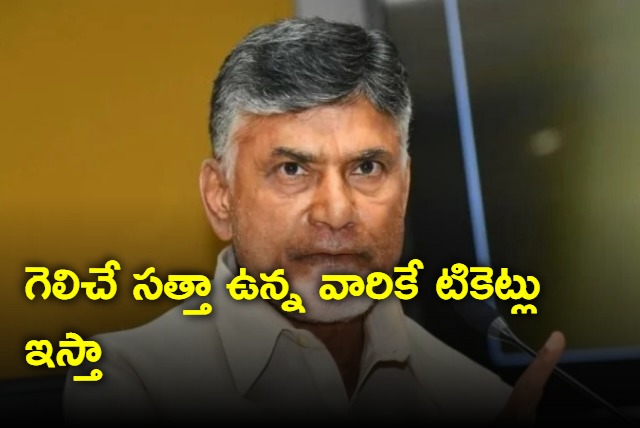 I will give tickets only to winning candidates says Chandrababu