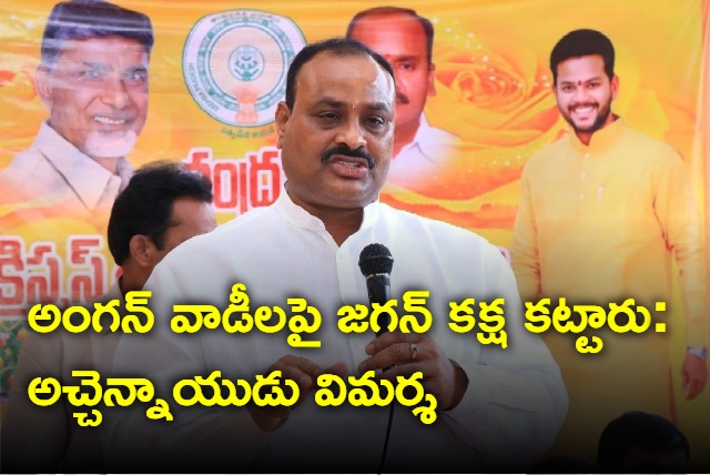 TDP AP President Achem Naidu Press Meet