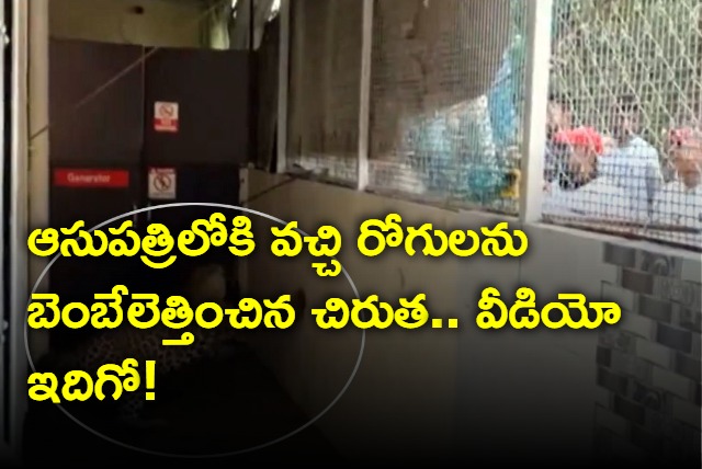 Leopard Enters into hospital premises