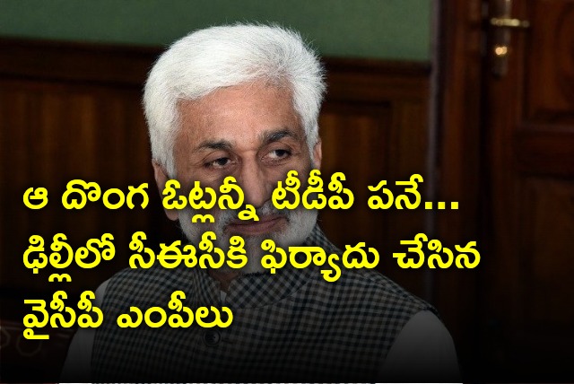 YCP MPs met CEC and complaints against TDP